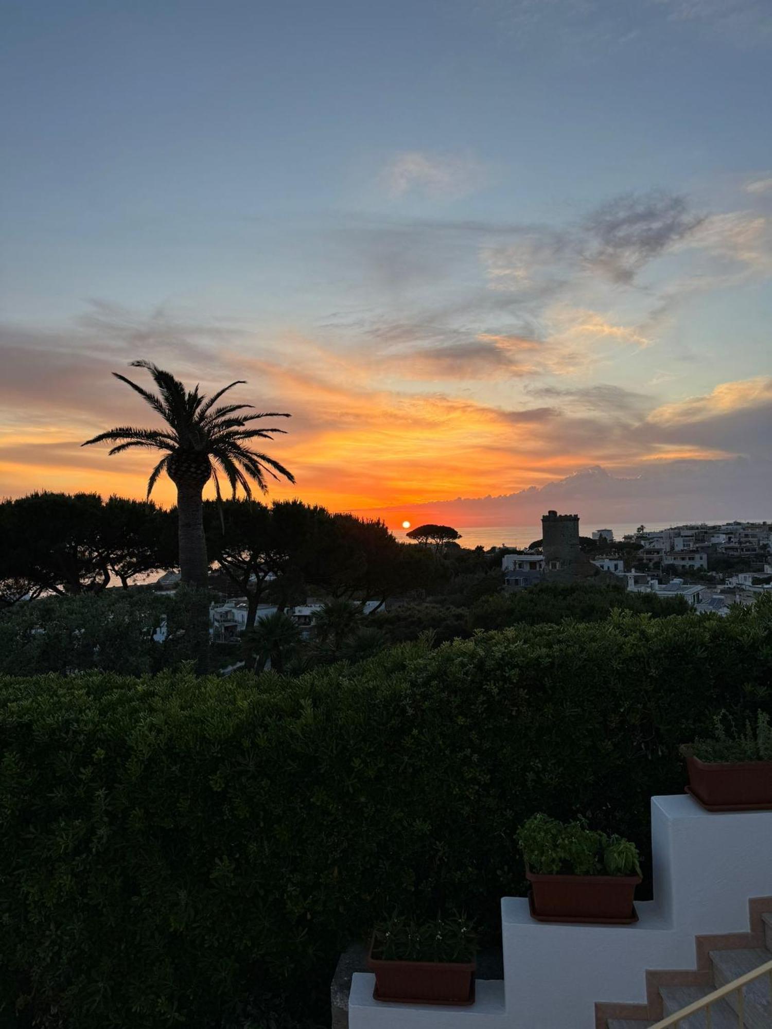 Chiena Forio Ischia